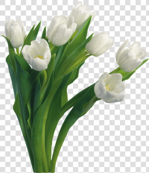 Bouquet Flowers Png   Transparent Background White Bouquet Png  Png Download