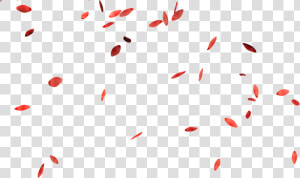 Falling Flower Petals Png   Flowers Petals Falling Png  Transparent Png