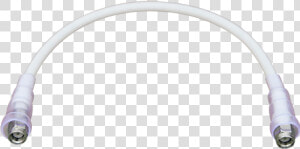 Pigtails Png  Transparent Png