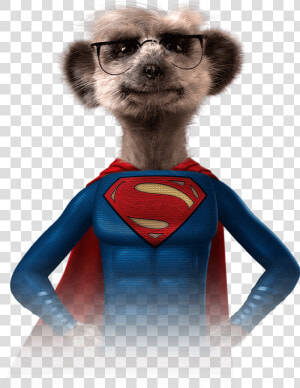 Meerkat Superhero  HD Png Download