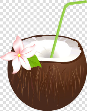  drink  drinks  cocktails  coconut  flower  summer   Coconut Summer Drink Cocktail  HD Png Download