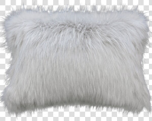 Greenland Wolf   Fur Clothing  HD Png Download