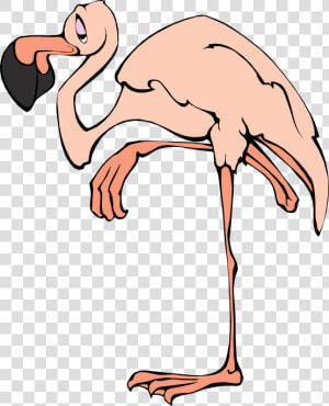 Flamingo Free To Use Clip Art   Flamingo Clip Art  HD Png Download