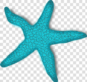 Starfish Clipart Turquoise   Sea Star In Cartoon  HD Png Download