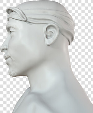 Bust   Png Download   Bust  Transparent Png