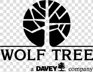 Wolf Tree Inc   Wolfe Tree  HD Png Download