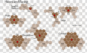 Hexes And Facing   Hex Grid Dnd  HD Png Download