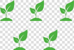 Triangular Planting Pattern  HD Png Download