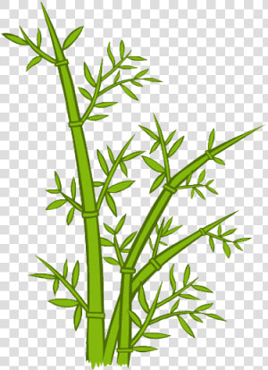 Green Bamboo Png Download   Bamboo Cartoon Png  Transparent Png