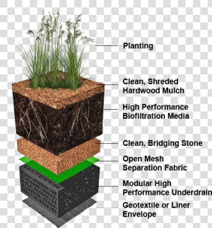 Sequential Sedimentation Biofiltration System  HD Png Download