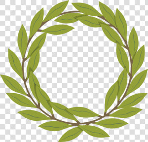 Vector Olive Branch Decoration Png Download   Olive Branch Vector Png  Transparent Png