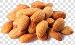 Almond Transparent Png   Almonds Png  Png Download