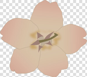 Petal plant flower   Purple Flower Clip Art  HD Png Download