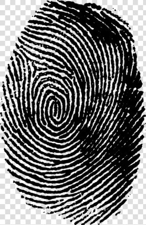 Thumb Print Png   Transparent Png Fingerprint Png  Png Download