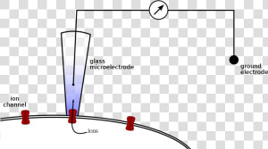 Patch Clamp Png  Transparent Png