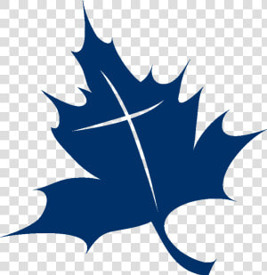 Maple Leaf Clipart   Png Download   Maple Leaf  Transparent Png