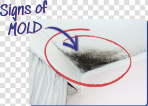 Signs Of Mold Example   Sketch  HD Png Download