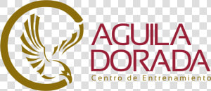 Logo Aguila Dorada Png   Png Download   Illustration  Transparent Png