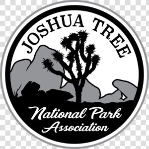 Joshua Tree Png  Transparent Png