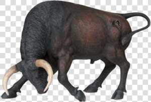 Spanish Fighting Bull Angus Cattle Charging Bull Statue   Animal Charging Png  Transparent Png