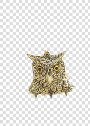 Transparent Great Horned Owl Png   Great Horned Owl  Png Download