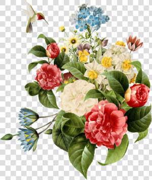 Multi Coloured Flowers Png  Transparent Png