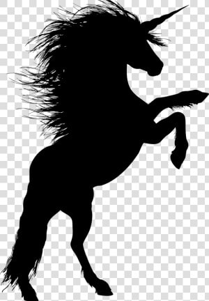 Animal  Equine  Rearing  Horse  Silhouette  Ride   Unicorn Silhouette Rearing Up  HD Png Download