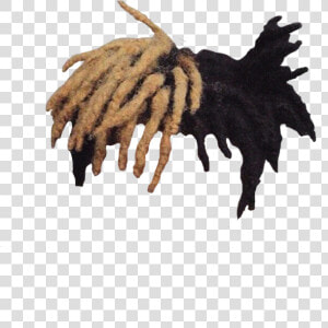 Xxxtentacion Dreads Png   Xxxtentacion Hair Transparent Background  Png Download