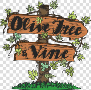 Olive Tree And Vine Logo   Olive Tree And Vine Cartersville  HD Png Download