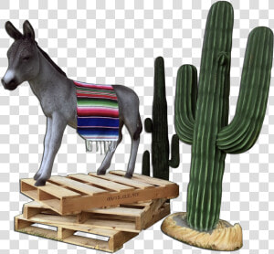 Mexican Fiesta Package   Burro  HD Png Download