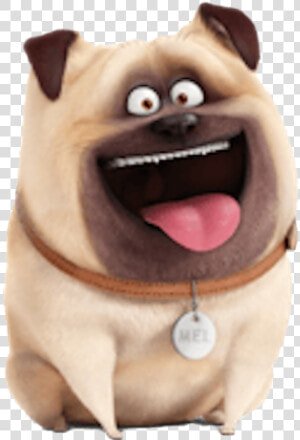 The Secret Life Of Pets Mel Png File   Mel The Secret Life Of Pets  Transparent Png