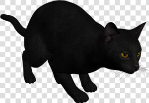 Cat Black Png Clipart Clipart Image   Draw A Cat Pouncing  Transparent Png