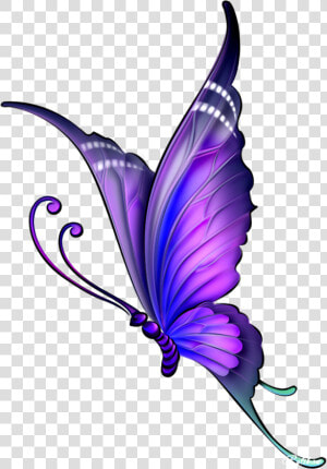 Butterfly Drawing Color Clip Art   Butterfly Drawing With Color  HD Png Download