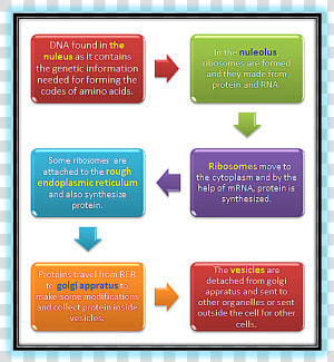 6 Mandatory Procedures Of Iso 9001  HD Png Download