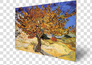 Vincent Van Gogh Mulberry Tree Painted  HD Png Download