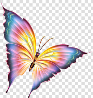 Growth Clipart Butterfly   Beautiful Butterfly Pictures Png  Transparent Png