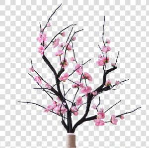 Transparent Peach Flowers Png   Flower Arrangements In Dry Branches  Png Download