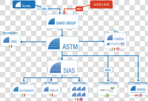 Gavio Group Org Structure  HD Png Download