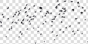 Birds And Overlay Image   Migrating Birds Creative Commons  HD Png Download