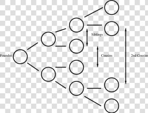 Family Tree To Second Cousin  HD Png Download