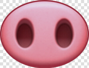 Pig Snout Png   Pig Snout Drawing  Transparent Png