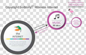 Amount Of Data And Bandwidth Required For Streaming   Circle  HD Png Download