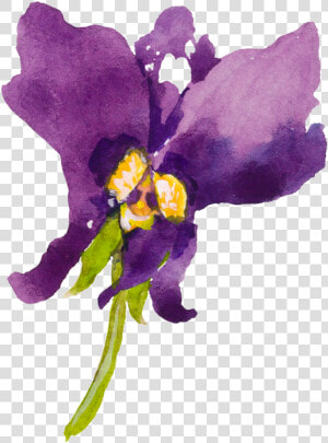 This Graphics Is Purple Cartoon Butterfly Orchid Watercolor   Watercolour Orchid Svg  HD Png Download