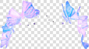  butterflies  crown  tumblr  filter  aesthetic   Snapchat Transparent Flower Crown  HD Png Download