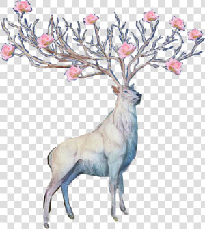  flower  deer  antlers  sticker  freetoedit   Flower Antlers Transparent Deer  HD Png Download