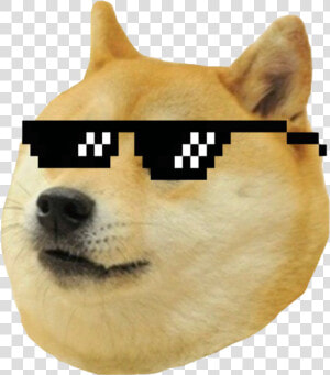 Doge Meme Png Photos   Dog Meme Transparent  Png Download