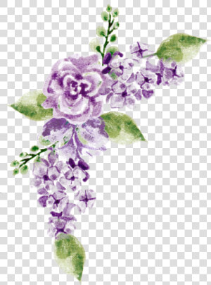  watercolor  flowers  purple  lavender  bouquet  bunch   Duranta  HD Png Download