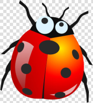 Lady Bug Png Free Download   Free Icons Download  Transparent Png