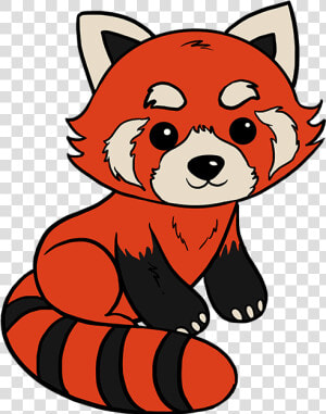 How To Draw Red Panda   Easy Red Panda Drawing Step By Step  HD Png Download