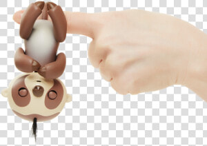 Kingsley The Sloth Png Sloth Animations   Fingerling Sloth  Transparent Png